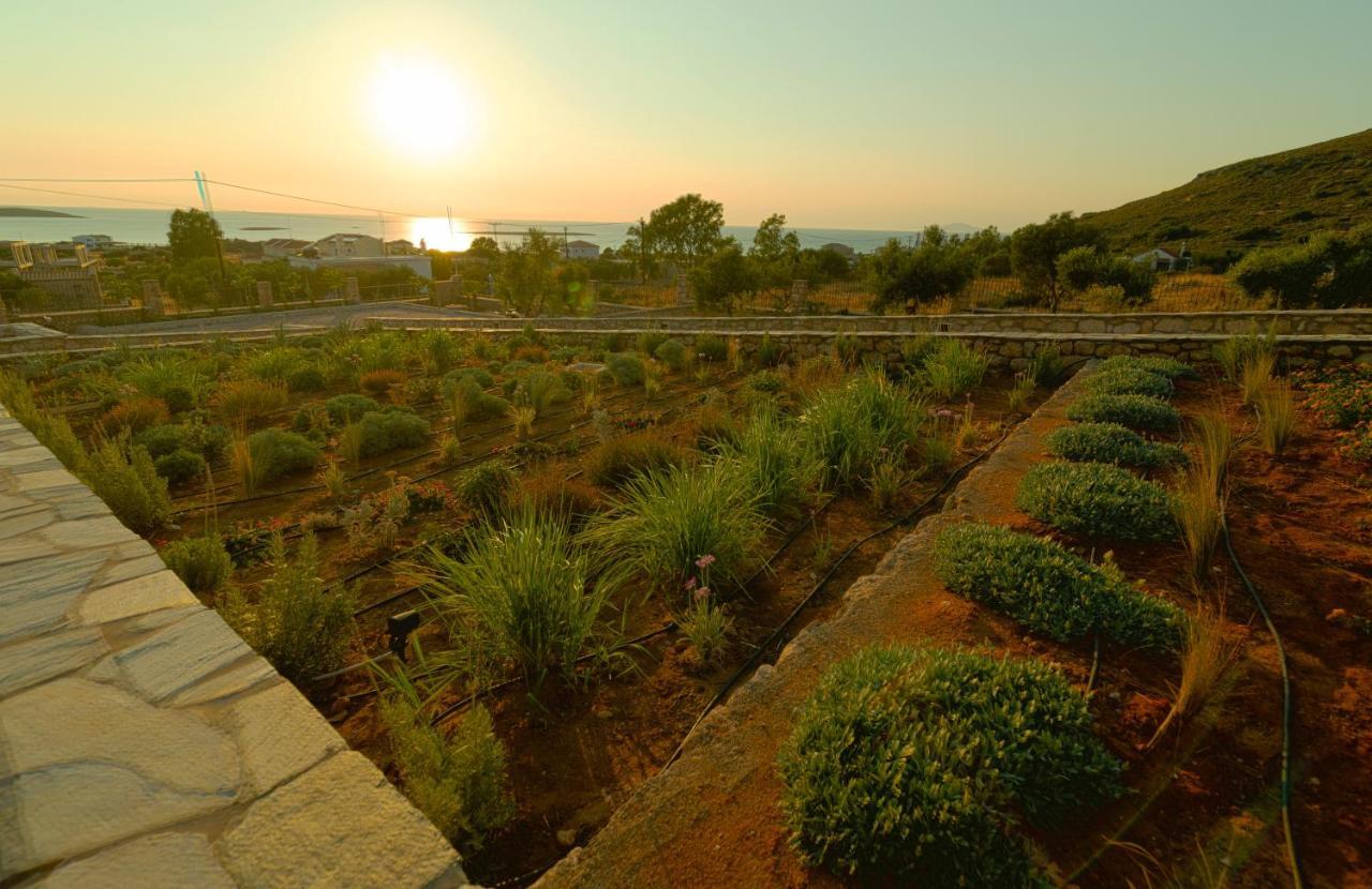 Villa Harmony Seaview In *